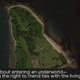 Image for article titled What We Found at Hart Island, The Largest Mass Grave Site In the U.S.